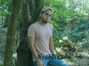 NoahDiaz Lucy Live