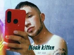 Noah_kitten