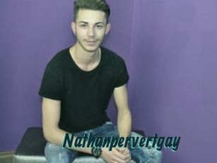 Nathanpervertgay