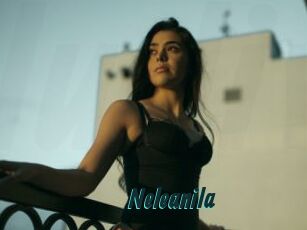 Neleanila
