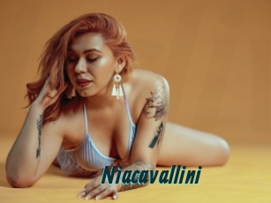 Niacavallini