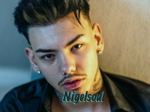 Nigelsoul