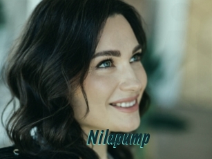 Nilapump