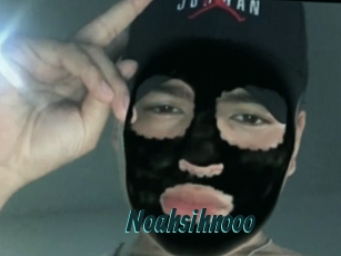 Noahsihnooo