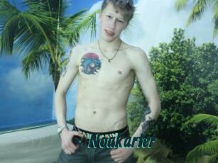 Noakarter