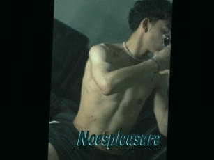 Noespleasure