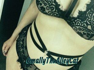 OmallyTheAlleyCat