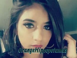 OrangeHippopotamus