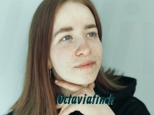 Octaviafinch