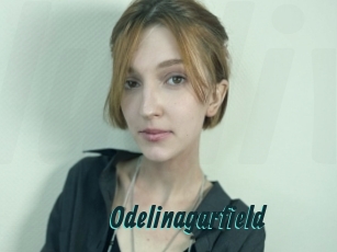 Odelinagarfield