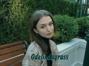 Odelindagrass