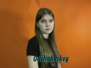 Odiliabuskey