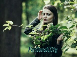 Perilous_Kitty