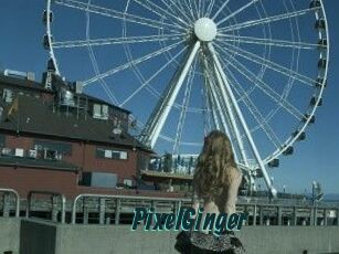 PixelGinger