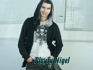PlayfulNigel