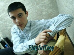 PlayfulTroy