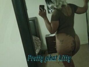 Pretty_phat_kitty