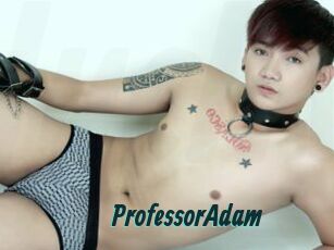 ProfessorAdam
