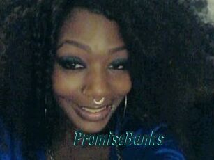 PromiseBanks