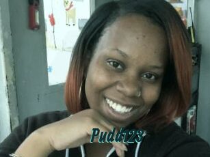 Pudd123