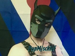 PupMischief