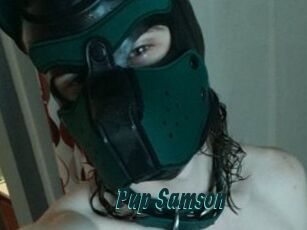 Pup_Samson