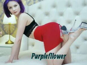Purplefllower