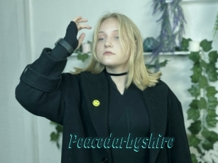 Peacedarbyshire