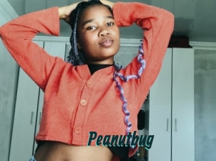 Peanutbug