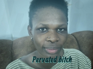 Pervated_bitch