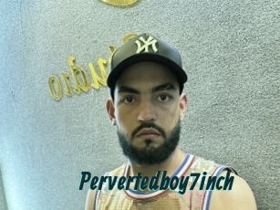 Pervertedboy7inch