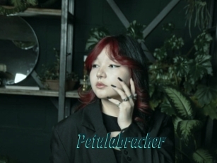Petulabracher