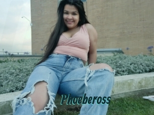 Phoebeross