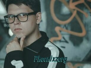 Phoenixzorg