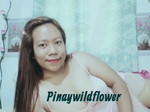 Pinaywildflower