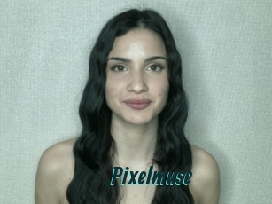 Pixelmuse