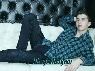 Playfulboynoi