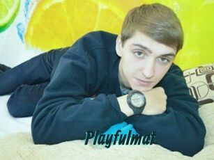 Playfulmat