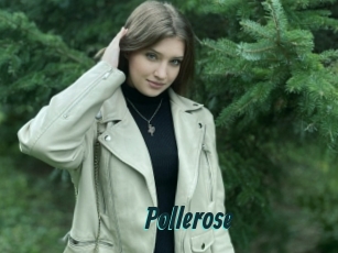 Pollerose