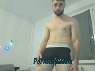 Porncock22cm