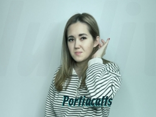 Portiacatts