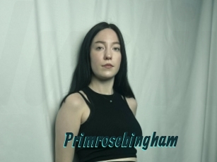 Primrosebingham
