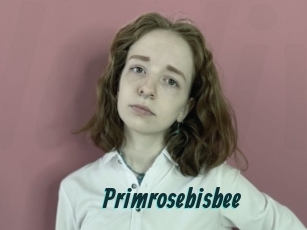 Primrosebisbee
