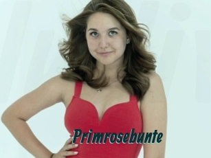 Primrosebunte