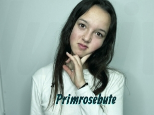 Primrosebute
