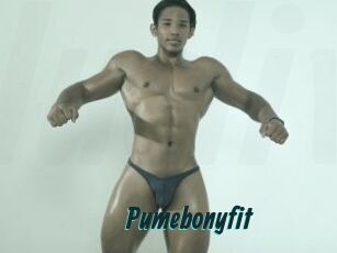 Pumebonyfit