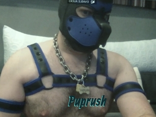 Puprush