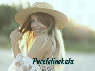 Purefelinekata