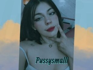 Pussysmalll