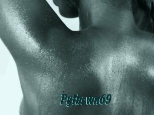 Pytbrwn69